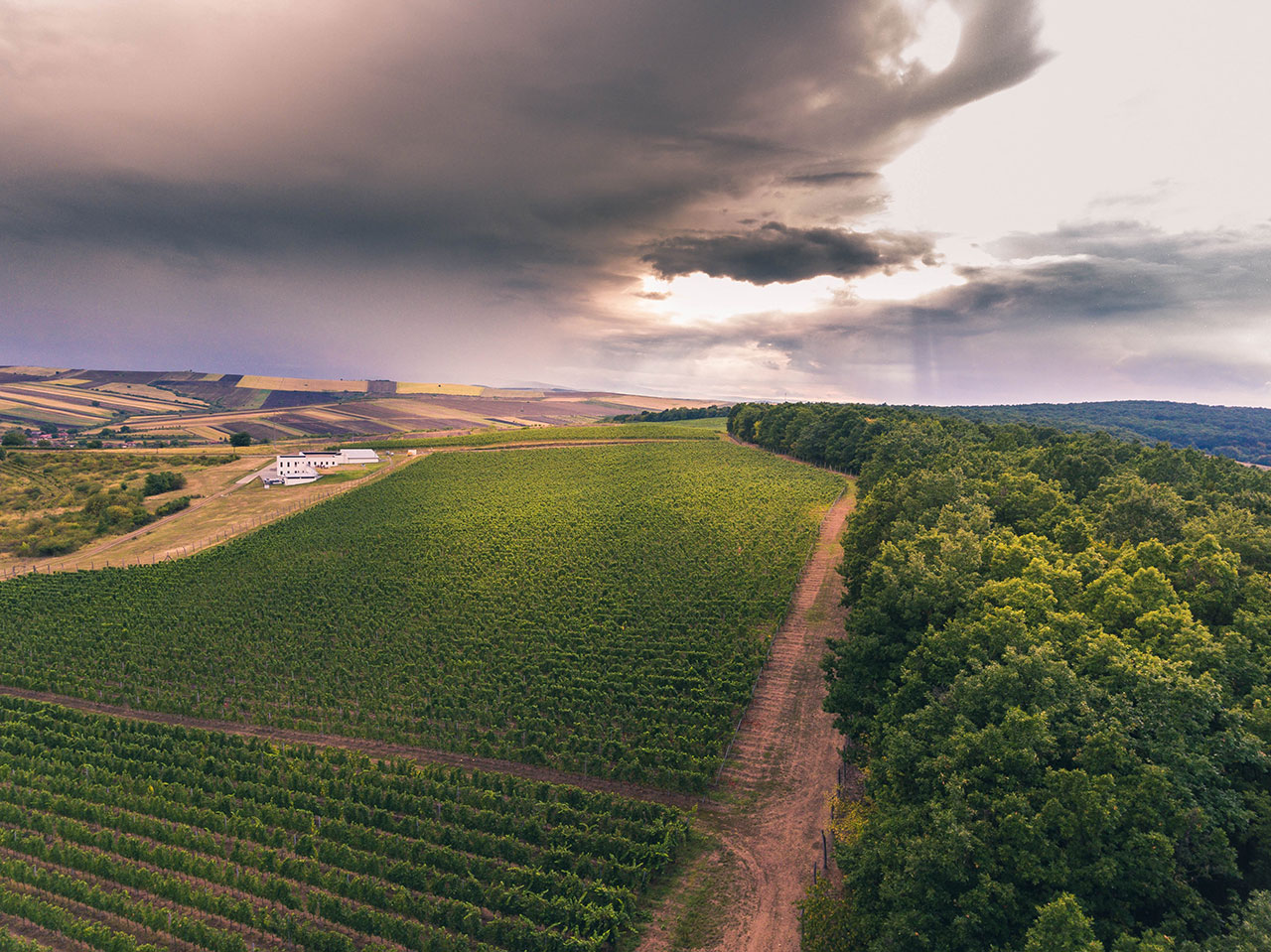 Carastelec Sparkling Winery